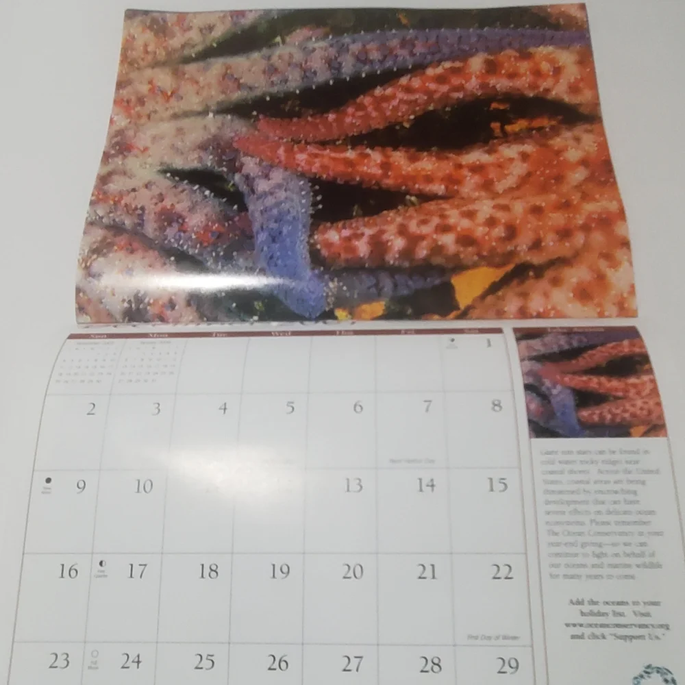 5/$15 Paper Crafting 2007 Calendar